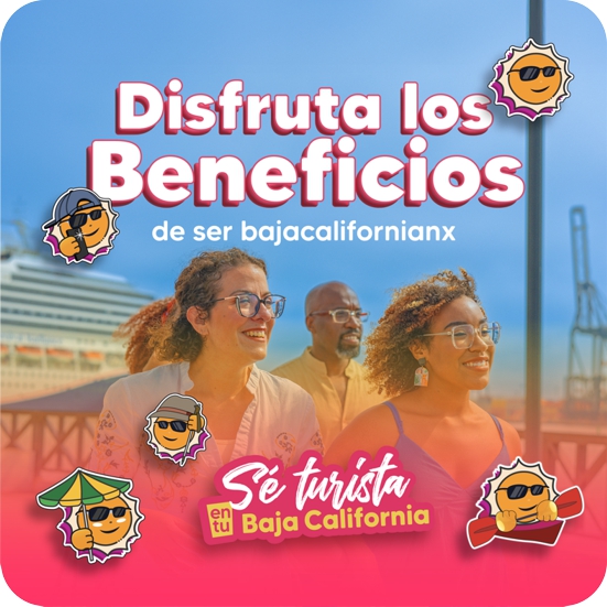 Swe turista en tu estado